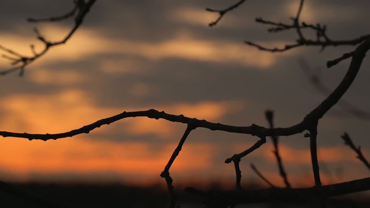 Finished frame cropped to 16:9 · YouTube